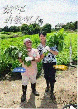 夜谈十二席综艺海报