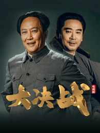 花瓣落下的速度 海报