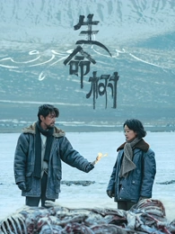 十三号档案室 刑侦剧封面